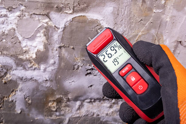 Mold Removal Process in Greensburg, LA