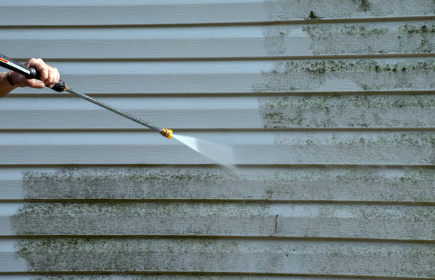 Best Mold Removal Process  in Greensburg, LA
